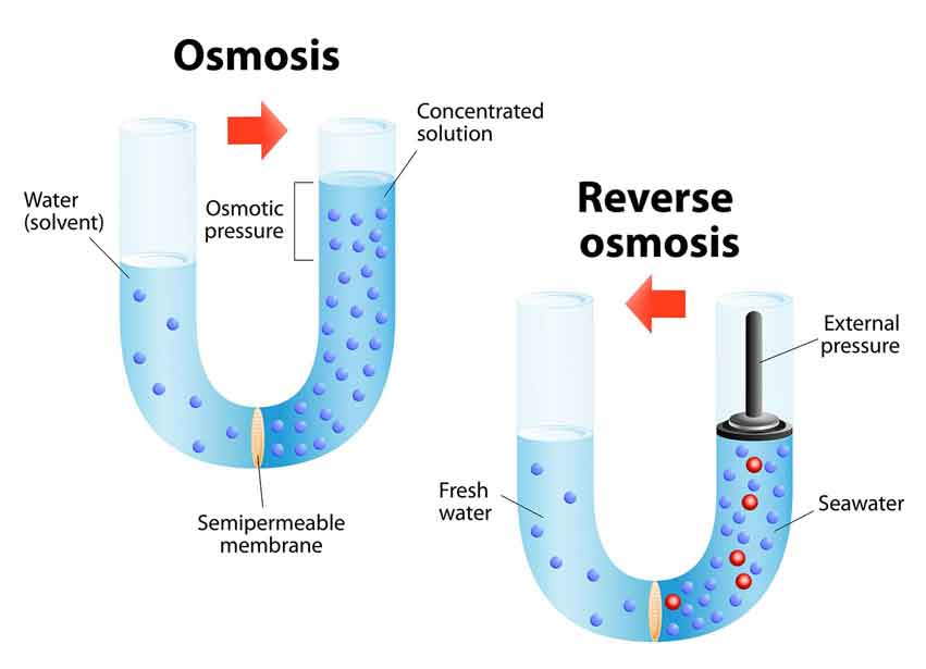 reverse osmosis vs osmosis